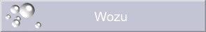 Wozu